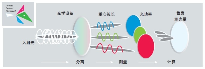 1641263787362958.jpg co_6.jpg