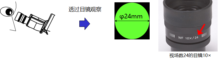 視場數(shù).png